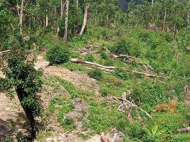 #890 - Área para Venda em Campos do Jordão - SP - 3