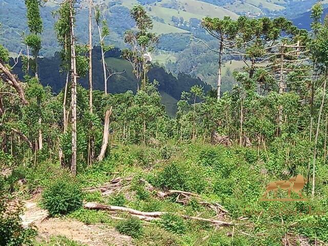 Área para Venda em Campos do Jordão - 5