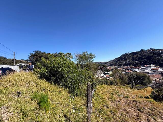 Terreno para Venda em Campos do Jordão - 4