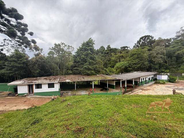 #903 - Galpão para Venda em Campos do Jordão - SP - 2