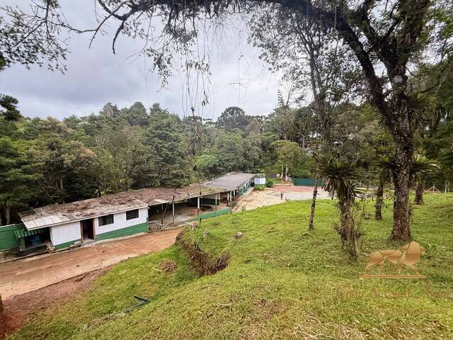 #903 - Galpão para Venda em Campos do Jordão - SP - 1