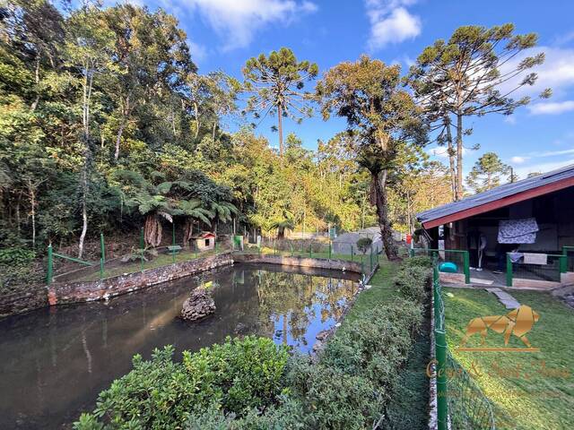 #908 - Casa para Locação em Campos do Jordão - SP - 2