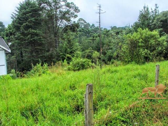 #TE0054 - Terreno para Venda em Campos do Jordão - SP