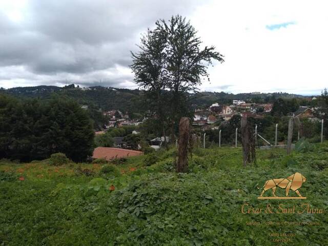 #TE0067 - Terreno para Venda em Campos do Jordão - SP