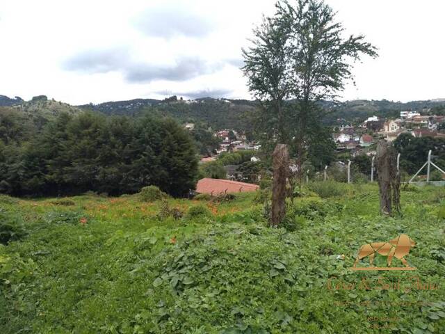 #TE0067 - Terreno para Venda em Campos do Jordão - SP