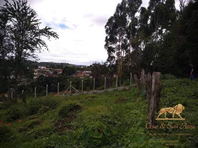 Terreno para Venda em Campos do Jordão - 4