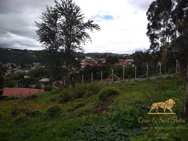 Terreno para Venda em Campos do Jordão - 5