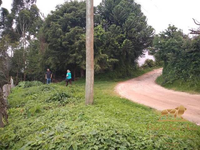 Terreno para Venda em Campos do Jordão - 4