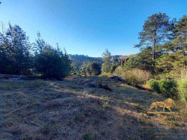 #TE0079 - Terreno para Venda em Campos do Jordão - SP - 1