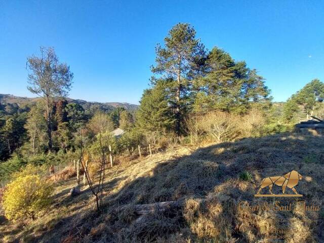 Terreno para Venda em Campos do Jordão - 5
