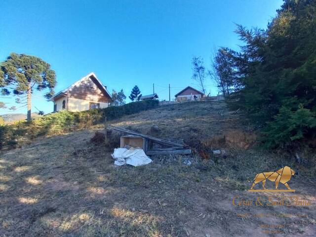 Terreno para Venda em Campos do Jordão - 4