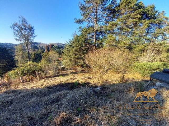 #TE0079 - Terreno para Venda em Campos do Jordão - SP - 3