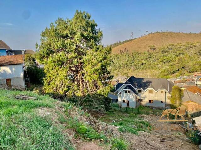 #TE0082 - Terreno para Venda em Campos do Jordão - SP - 1