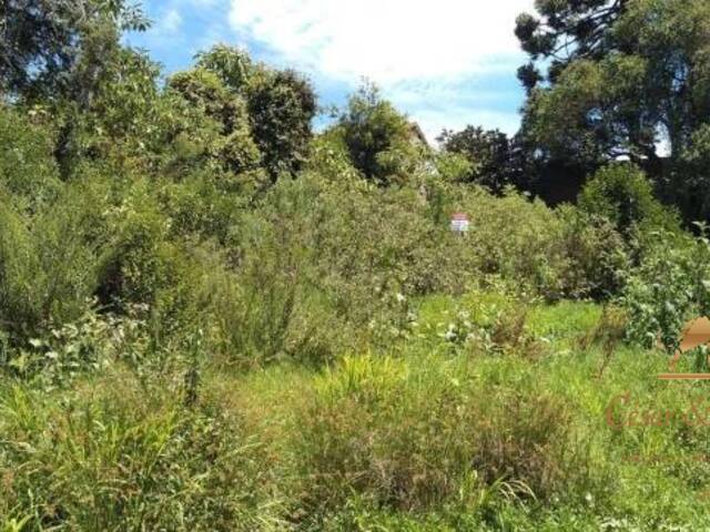 Terreno para Venda em Campos do Jordão - 2